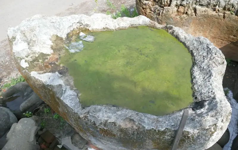Artikelbild 3 des Artikels “Der Islandtopf besteht aus Kalkstein, der von der Küste Indonesiens stammt. Er ist etwa 240 cm lang und 50 cm tief. “